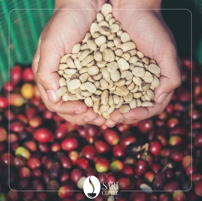 قهوه روبوستا اندونزی