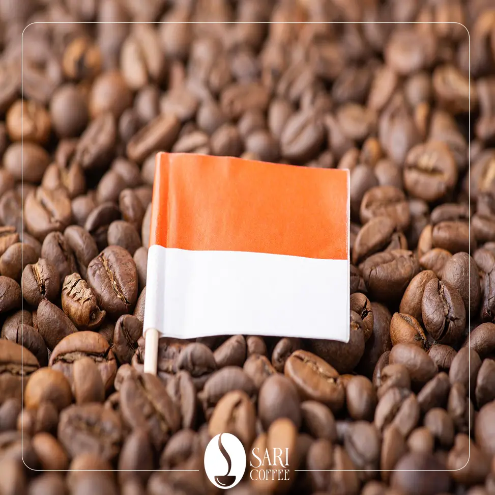 قهوه ربوستا اندونزی در فروشگاه قهوه ساری کافی