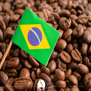 قهوه عربیکا برزیل ریو – عطر ملایم و نت‌های شکلاتی