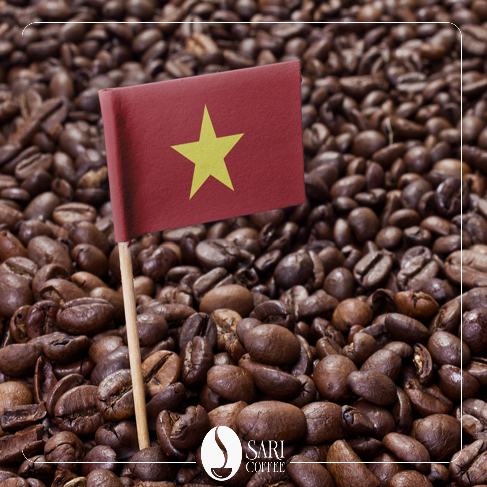 قهوه روبوستا ویتنام ساری کافی