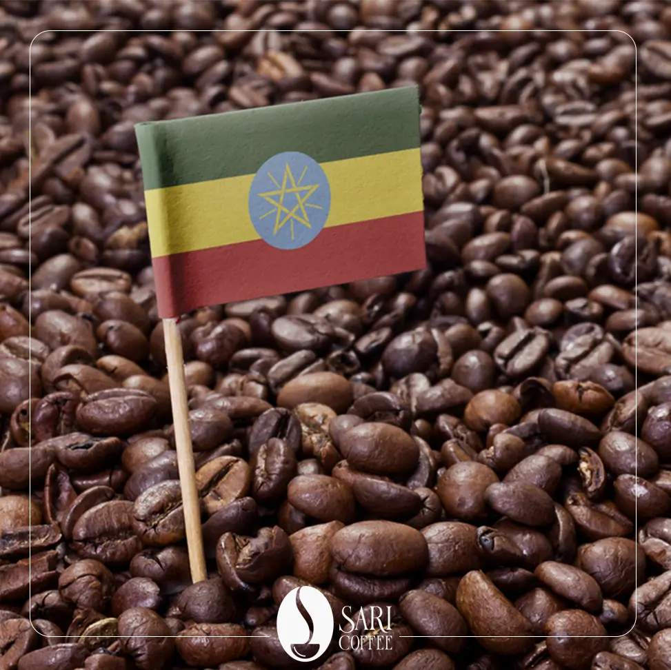 قهوه عربیکا اتیوپی در فروشگاه قهوه ساری کافی