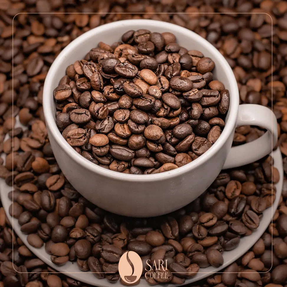 میکس 70 روبوستا 30 عربیکا ریودو ساری کافی