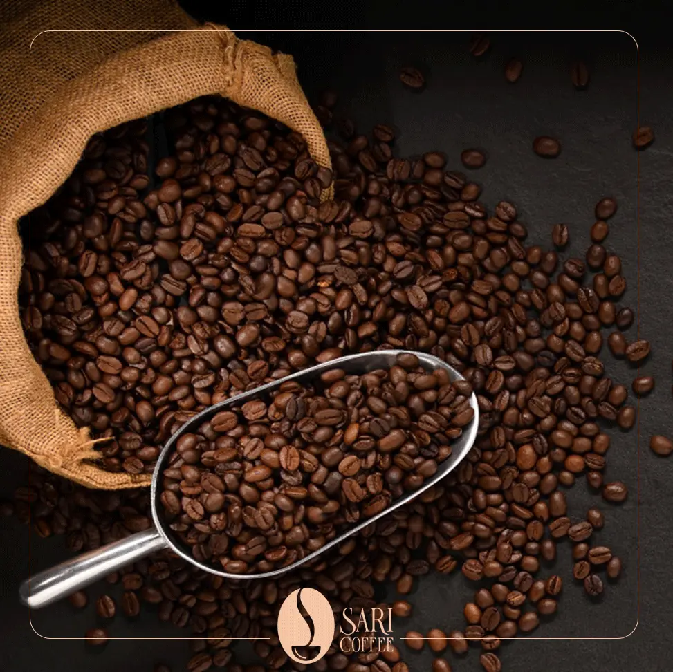 میکس اقتصادی هلسینکی 100 روبوستا ساری کافی