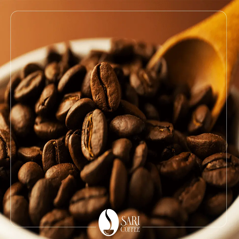 میکس 50 روبوستا 50 عربیکا پاریس اقتصادی ساری کافی