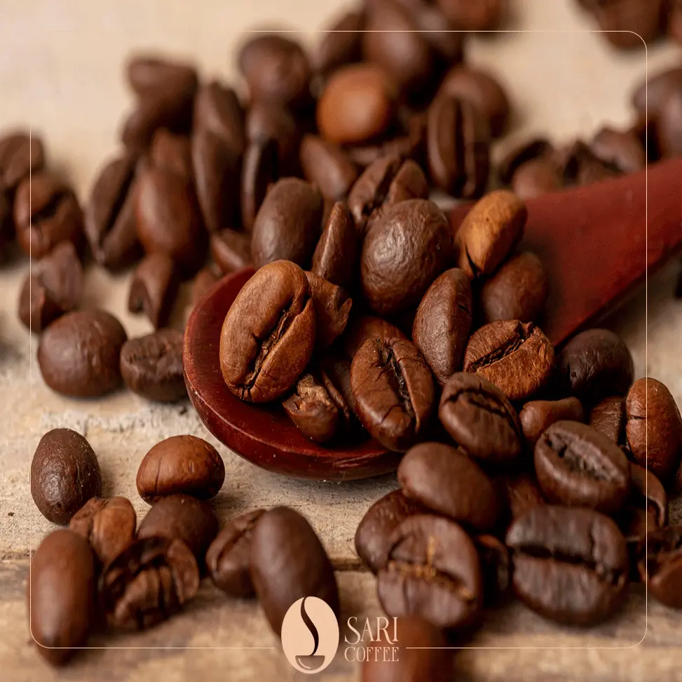 میکس 100عربیکا فلورانس اقتصادی ساری کافی