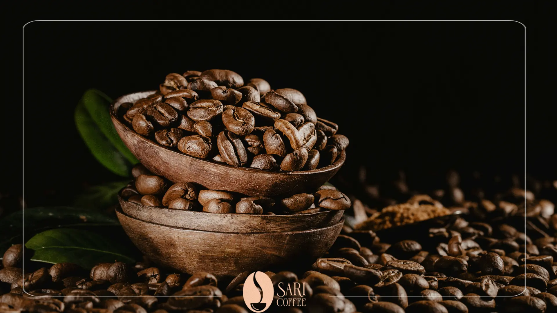 Sari coffee beans gallery11