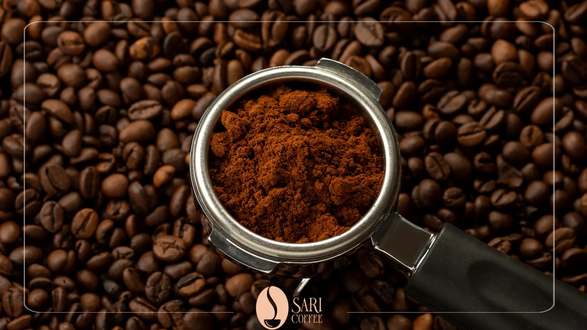 Sari coffee portafilter and beans