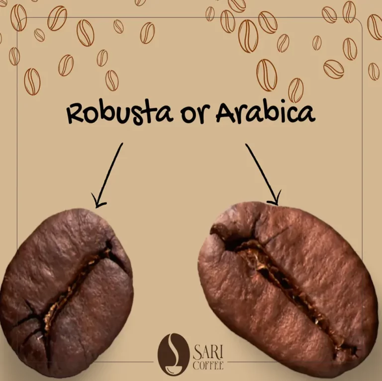 همه‌چیز درباره قهوه☕نوشیدنی محبوب دنیا